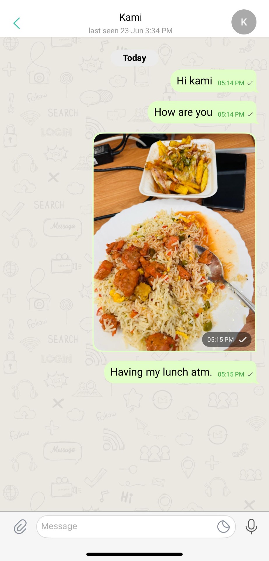 EmmaChat App Interface